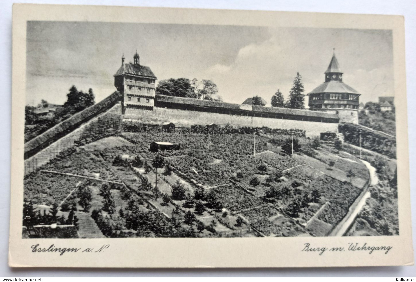 [BADEN WUTTEMBERG] - ESSLINGEN - Burg - Esslingen