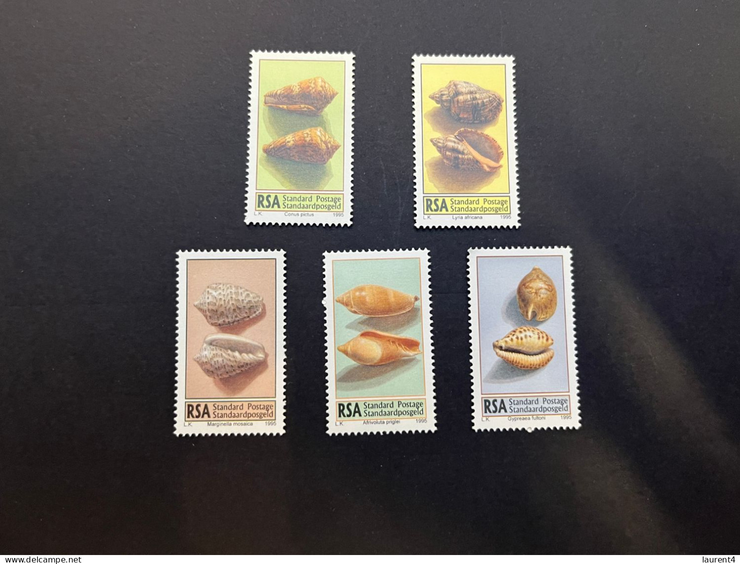 11-5-2024 (stamp)  Shell / Seashell - Coquillage - RSA (5 Values) - Crustacés