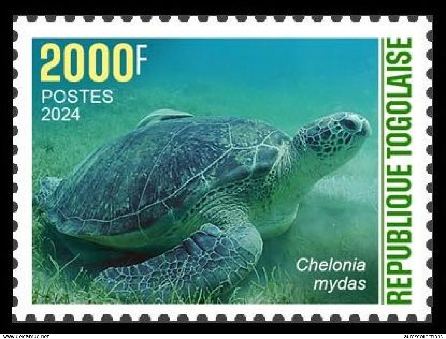 TOGO 2024 STAMP 1V 2000F - CAMOUFLAGE - GREEN TURTLE TURTLES TORTUE VERTE TORTUES - REPTILES - MNH - Turtles