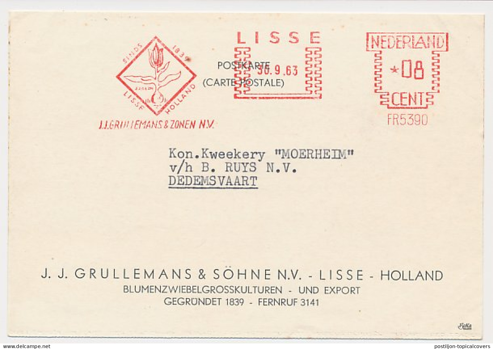 Meter Card Netherlands 1963 Flower Bulb - Tulip - Lisse - Autres & Non Classés