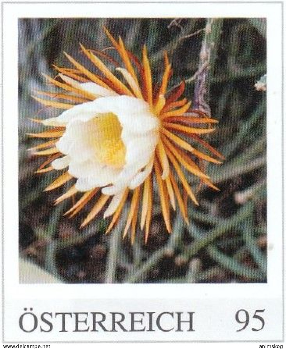 Österreich, Personalisierte Marken, Blumen Inkl. Kakteen / Austria, Personalized Stamps, Flowers Incl. Cacti - Cactussen