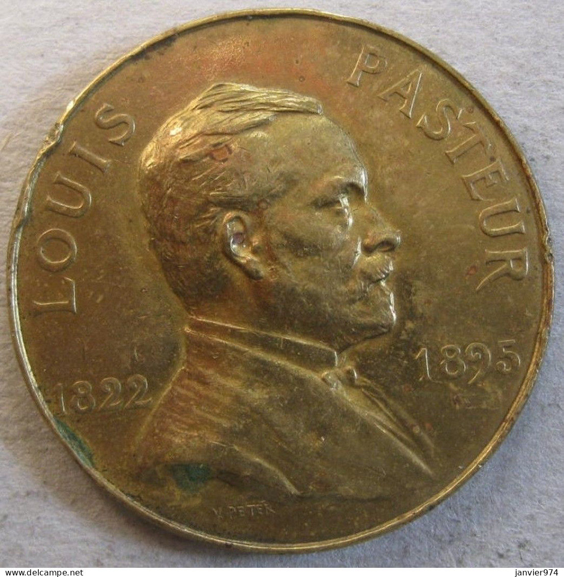 États Fédères D'Europe 1/10 Europa 1928, PASTEUR, Par Victor Peter , En Bronze Dorée - Other & Unclassified