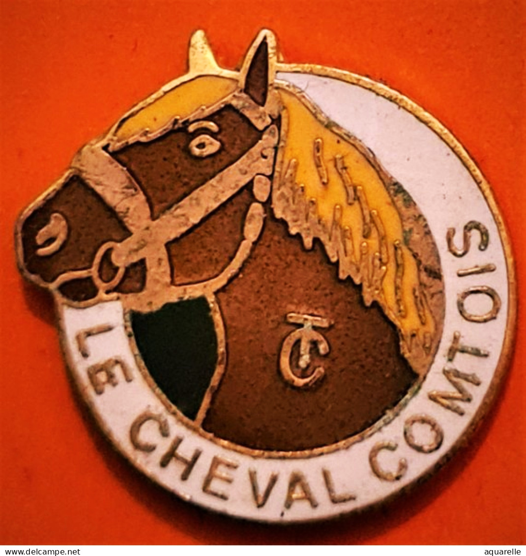 SUPER PIN'S "CHEVAL- LE CHEVAL COMTOIS" Emaillé Grand Feu Base Or, Signé DIMO, Format 2,3X2,3cm - Animals