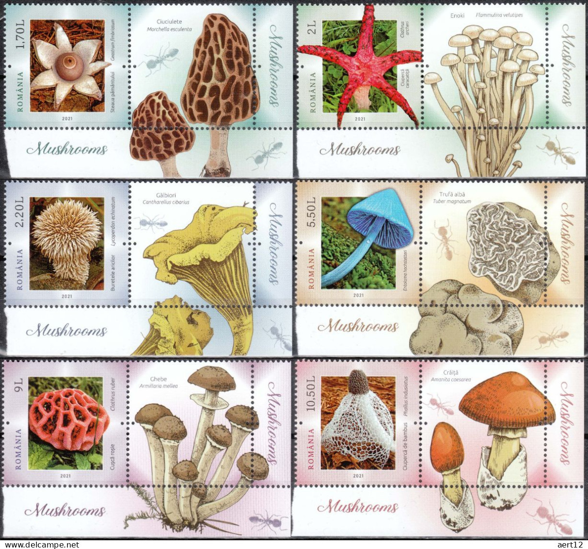 2021, Romania , Mushrooms, MNH(**), LPMP 2323(1)-2323(6) - Ungebraucht