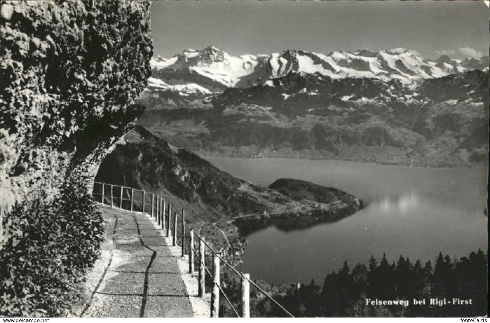 11357514 Rigi-Staffel Rigi First Felsenweg Rigi-Staffel - Other & Unclassified