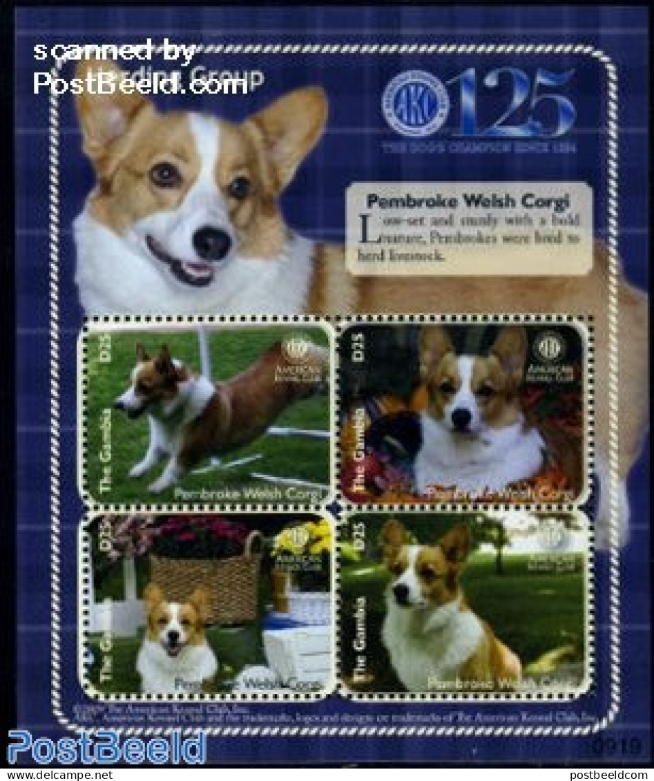 Gambia 2009 Pembroke Welsh Corgi 4v M/s, Mint NH, Nature - Dogs - Gambie (...-1964)