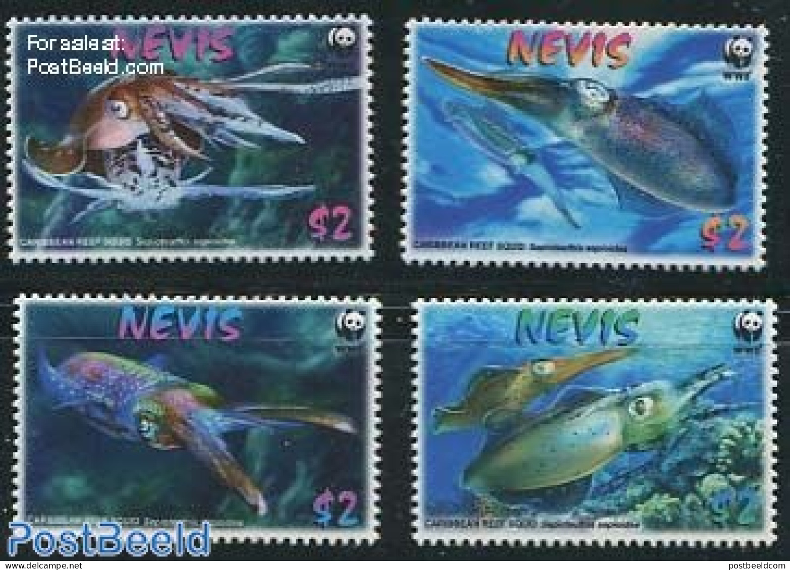 Nevis 2009 WWF, Squid 4v, Mint NH, Nature - Fish - World Wildlife Fund (WWF) - Fishes