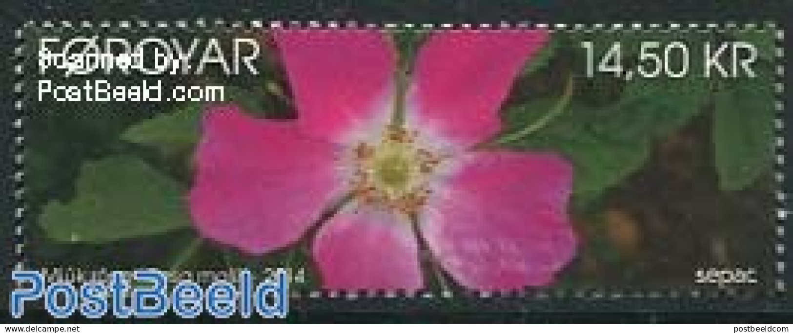 Faroe Islands 2014 SEPAC 1v, Mint NH, History - Nature - Europa Hang-on Issues - Sepac - Flowers & Plants - Europäischer Gedanke