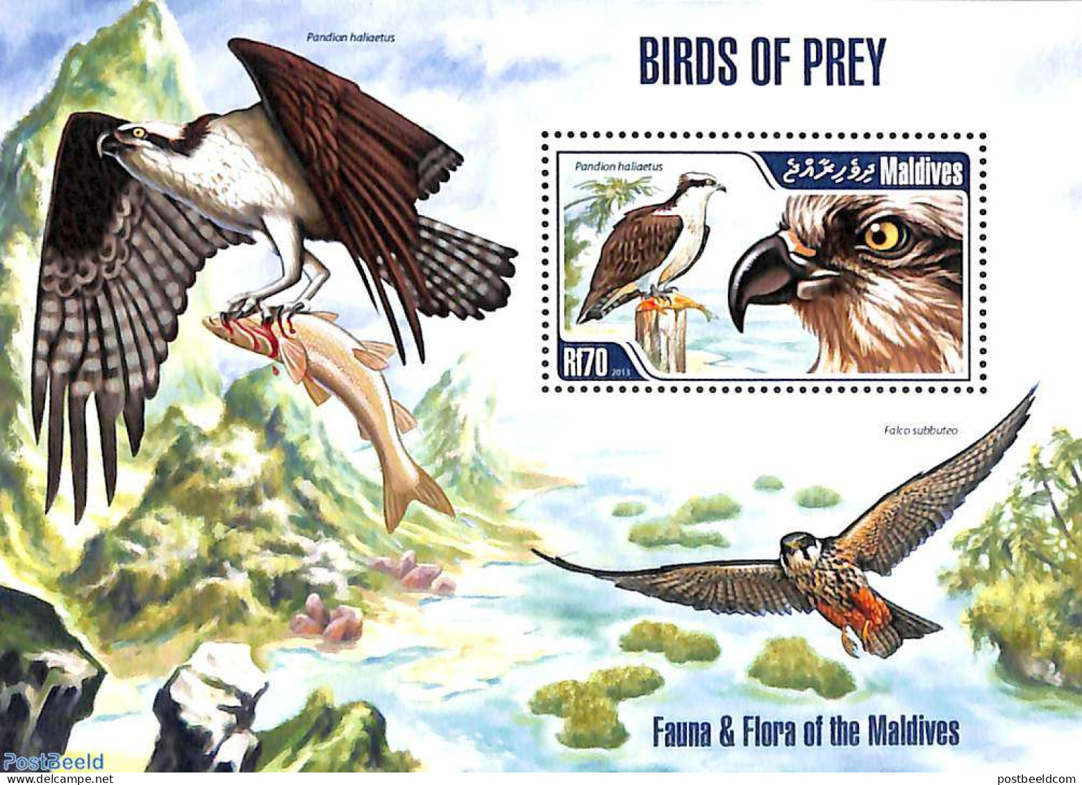 Maldives 2013 Birds Of Prey S/s, Mint NH, Nature - Birds - Birds Of Prey - Maldives (1965-...)