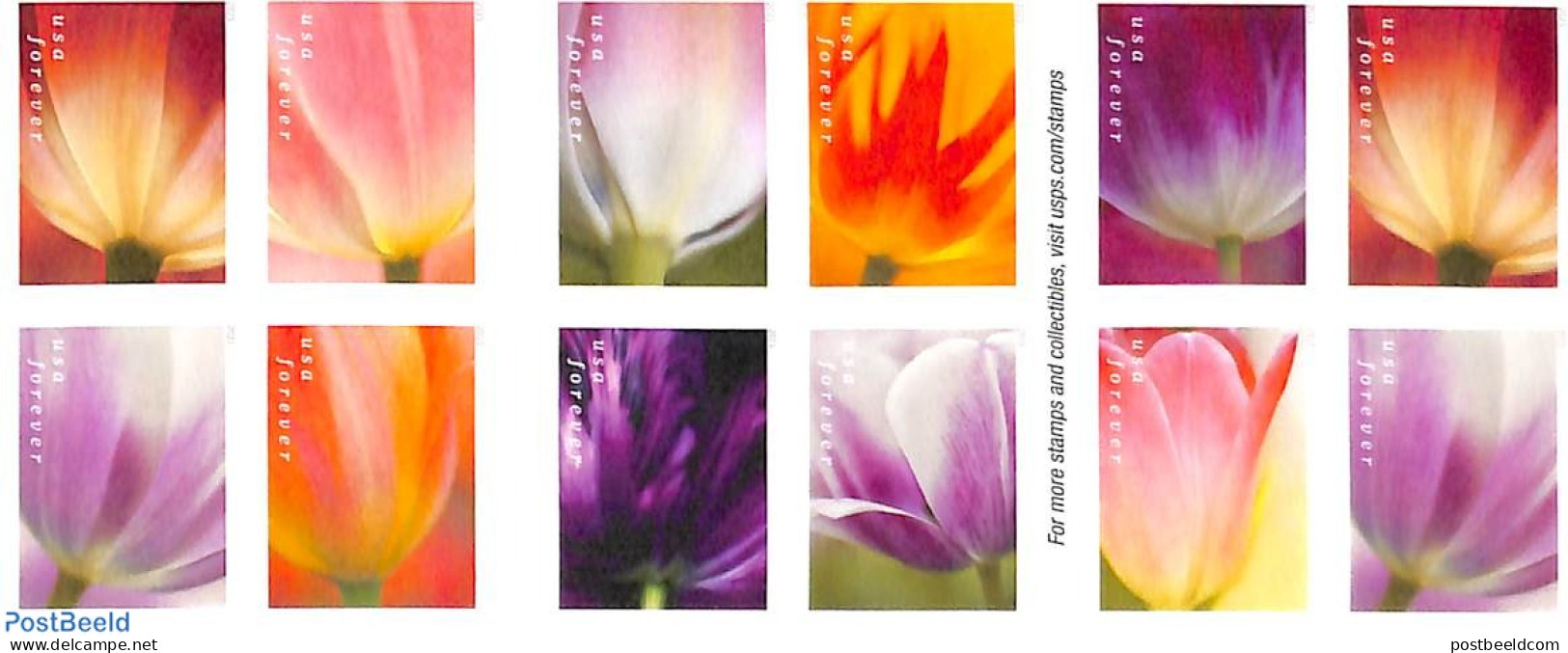 United States Of America 2023 Tulip Blossoms 2x10v S-a In Double Sided Booklet, Mint NH, Nature - Flowers & Plants - Unused Stamps