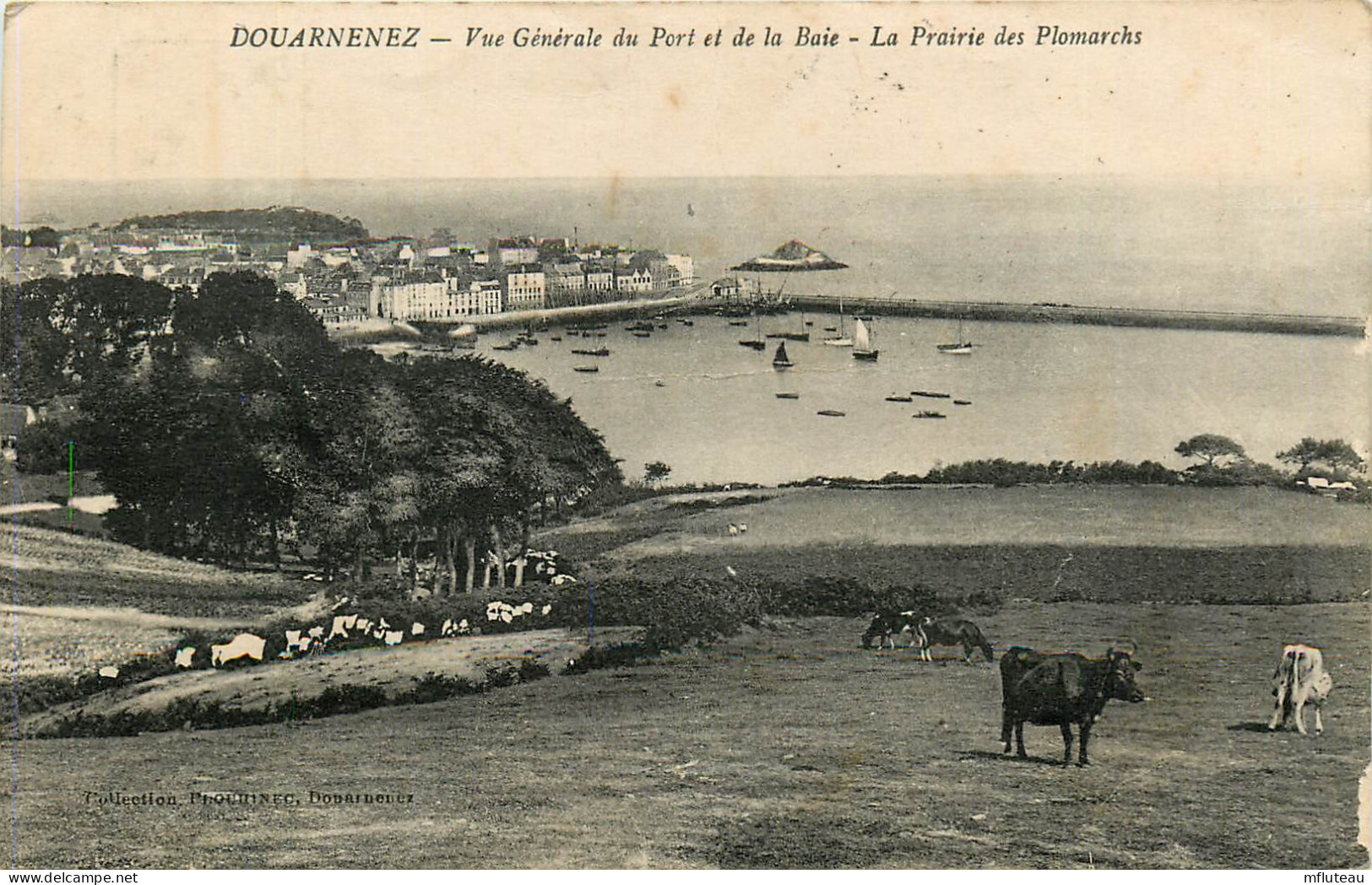 29* DOUARNENEZ   Le Port  Prairie De Plomarchs RL23,0310 - Douarnenez