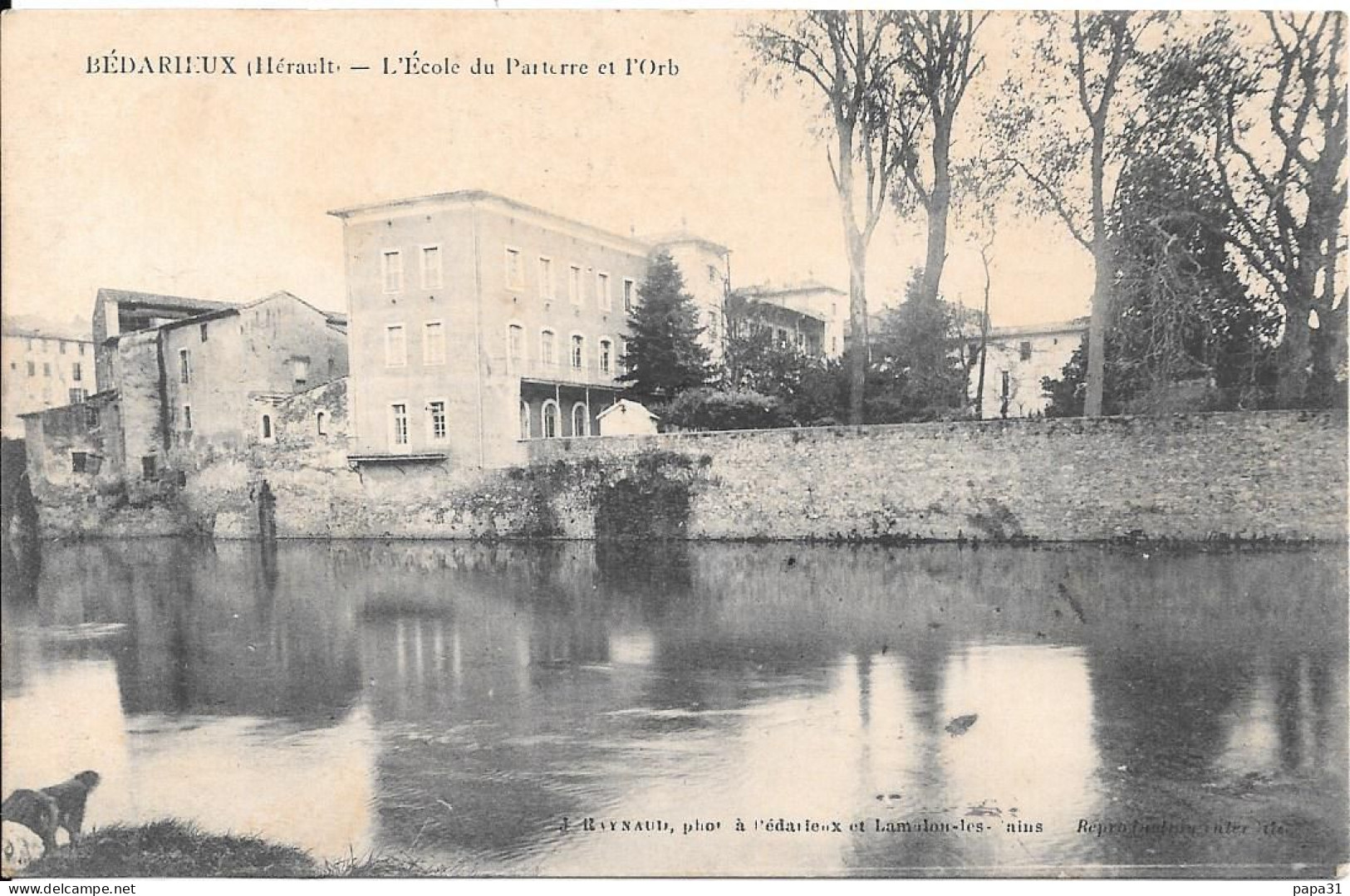 BEDARIEUX  - L'Ecole Du Parterre Et L'Orb - Bedarieux