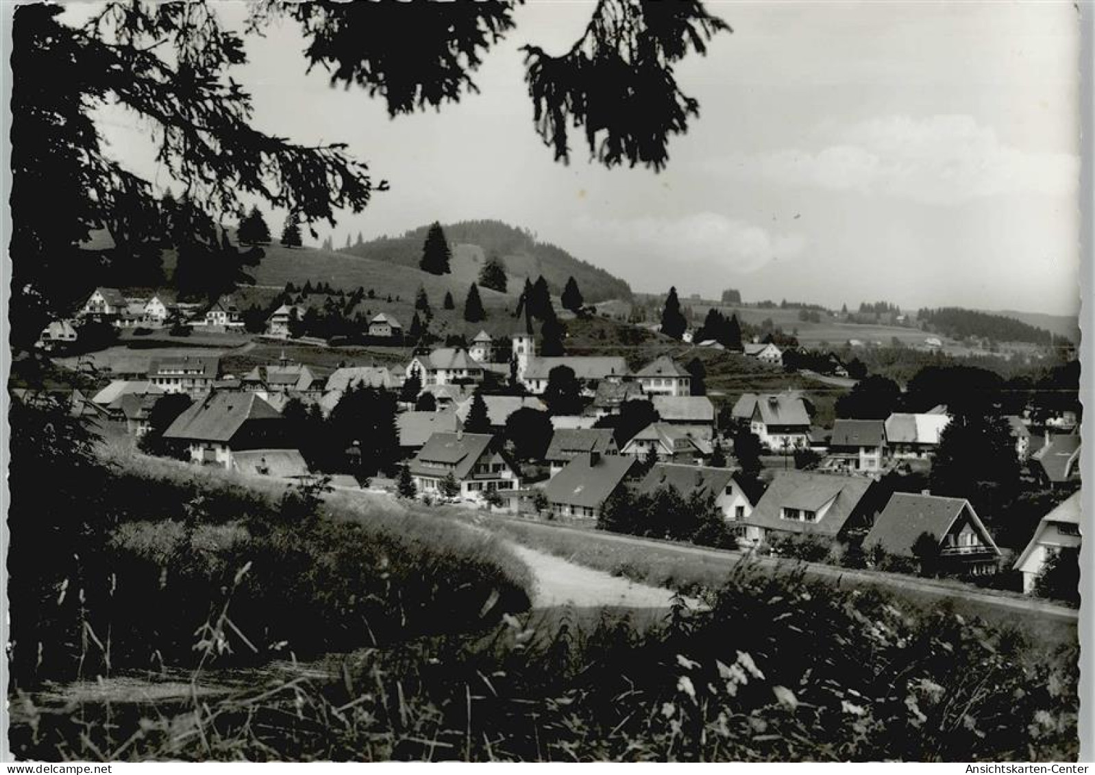 10004408 - Altglashuetten , Schwarzw - Feldberg