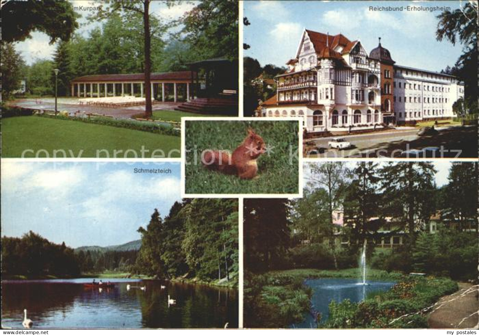 72922154 Bad Sachsa Harz Erholungsheim Schmelzteich  Bad Sachsa - Bad Sachsa