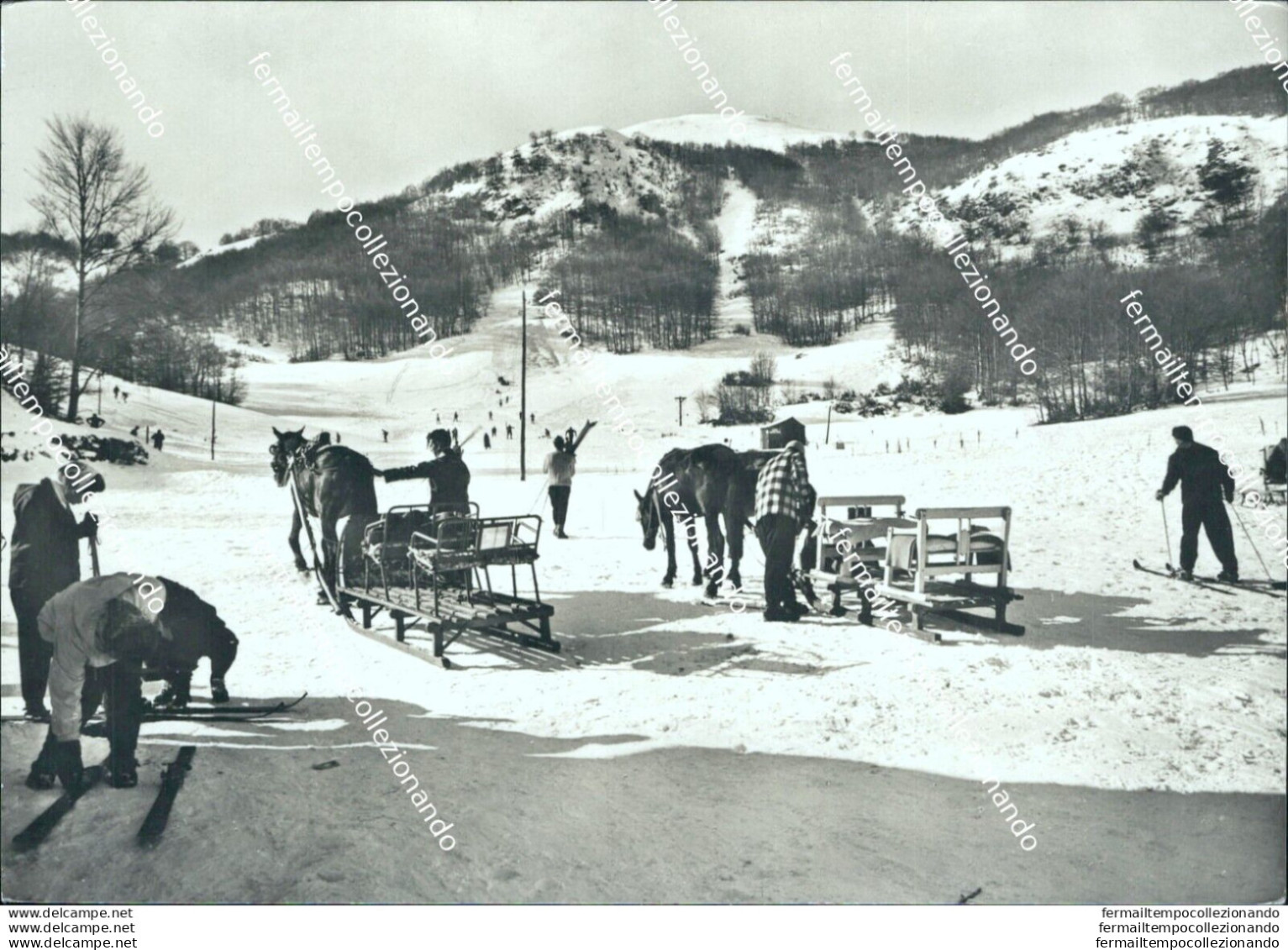 Bn463 Cartolina Roccaraso Campetto Degli Alpini Provincia Di L'aquila - L'Aquila