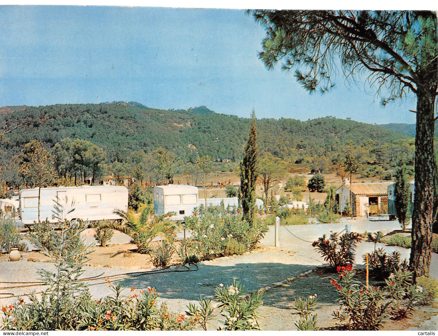 83-FREJUS-N°3831-C/0303 - Frejus