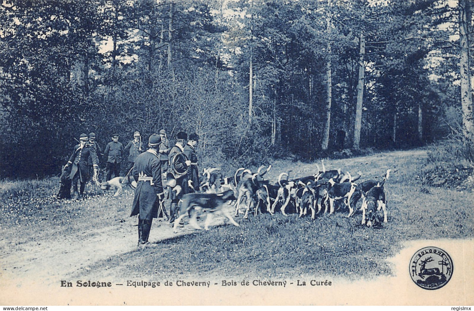 41-CHEVERNY-CHASSE A COURRE-N°583-C/0337 - Cheverny