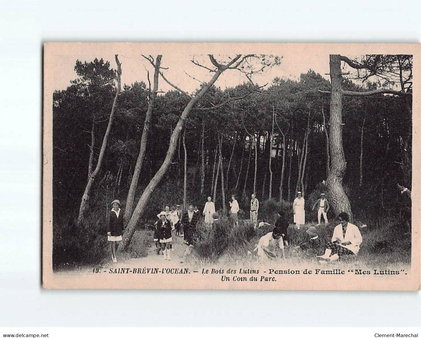 SAINT BREVIN L'OCEAN : Le Bois Des Lutins, Pension De Famille ""Mes Lutins"", Un Coin Du Parc - état - Saint-Brevin-l'Océan