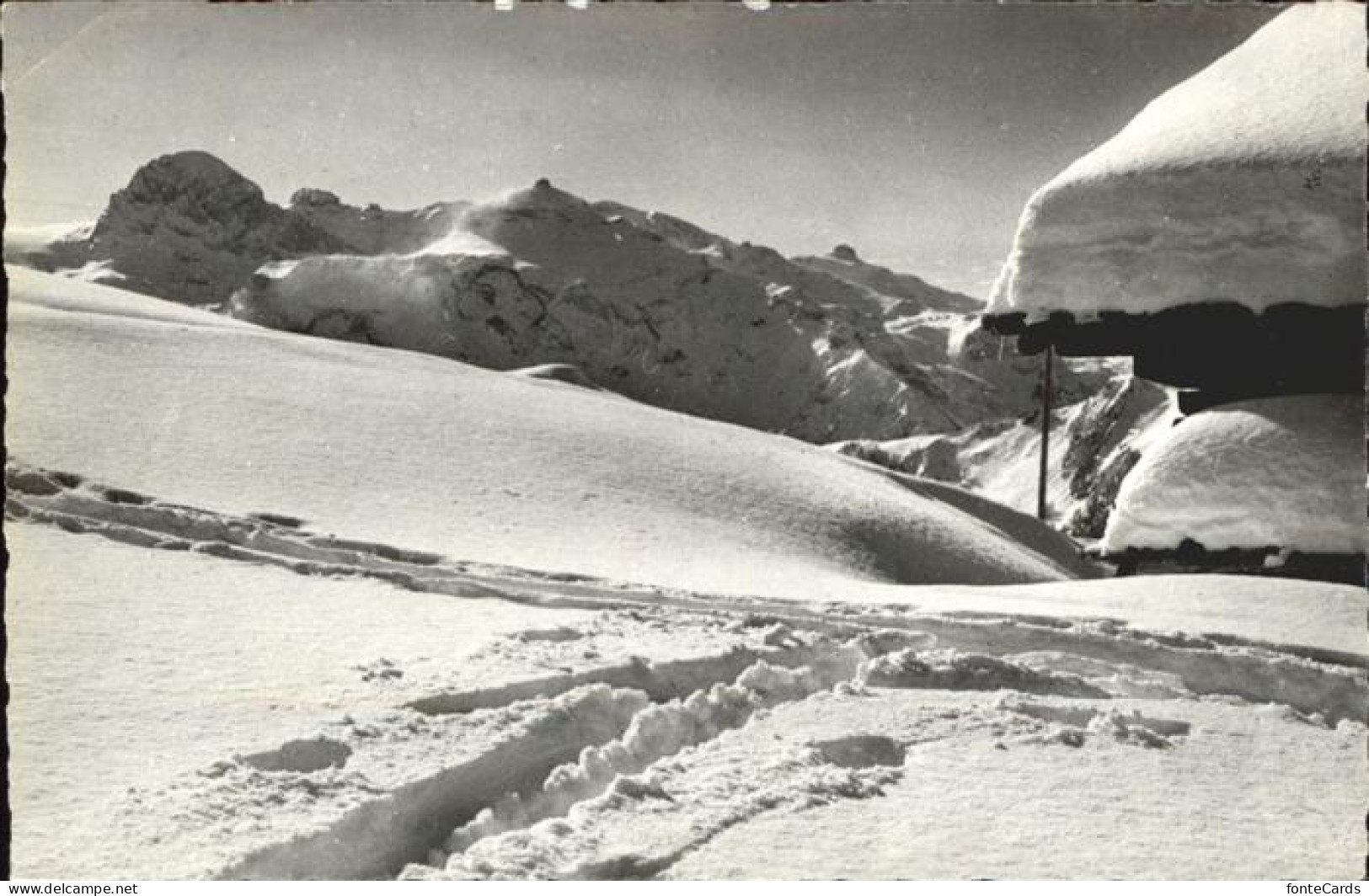 11321494 Rohrbachstein Berner Oberland Hahnenmoos Mit Blick Auf Gletscherhorn Ro - Other & Unclassified