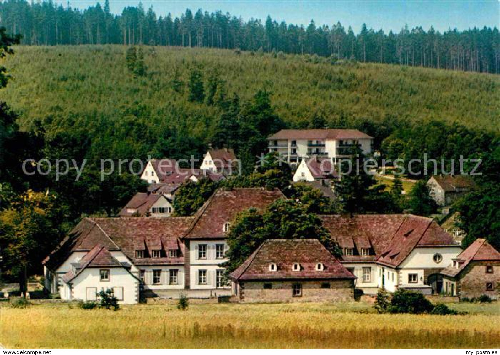 72914808 Neuhaus Solling Ortsansicht Luftkurort Holzminden - Holzminden