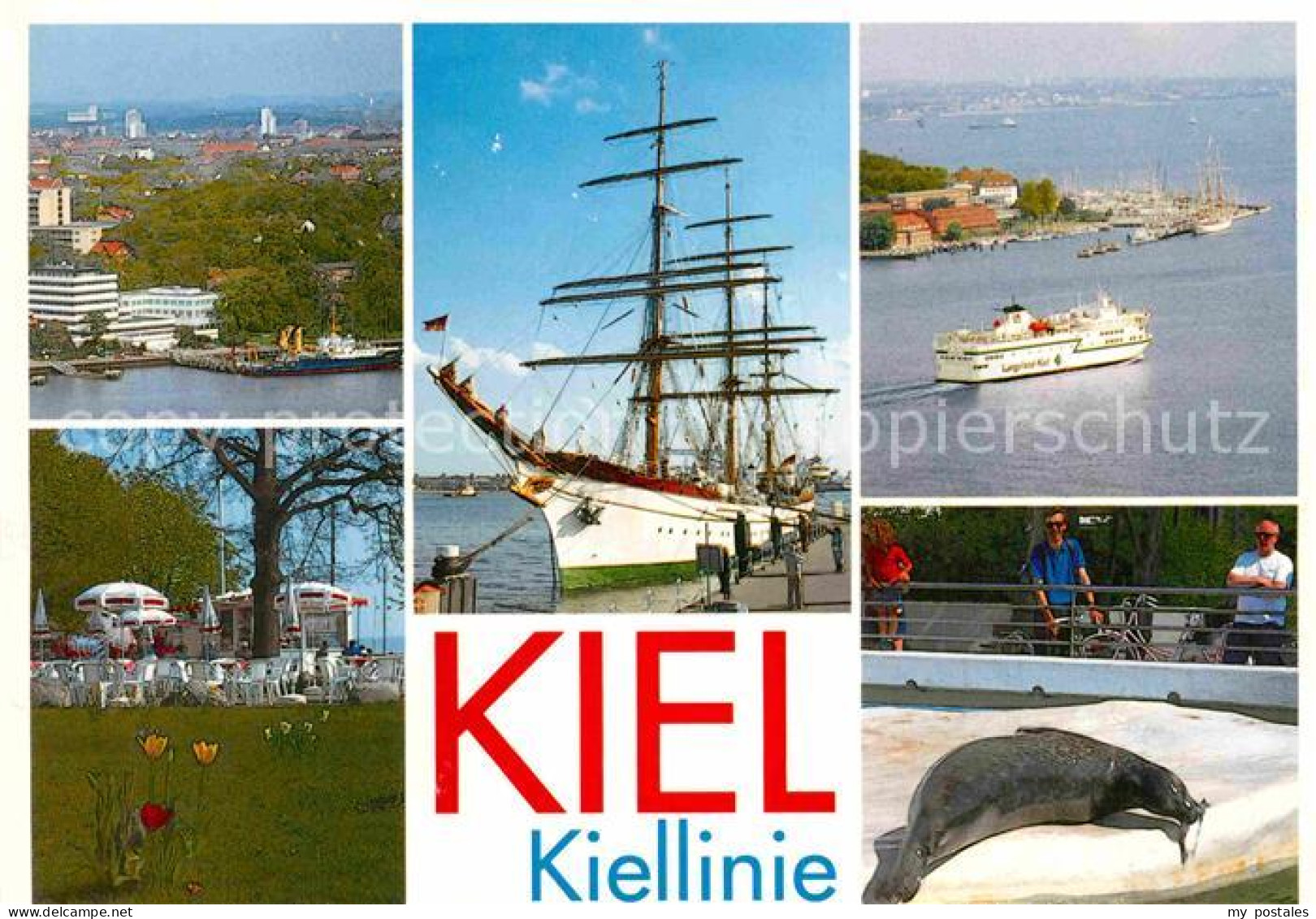 72913696 Kiel Robbe Segelschiff Kiel - Kiel