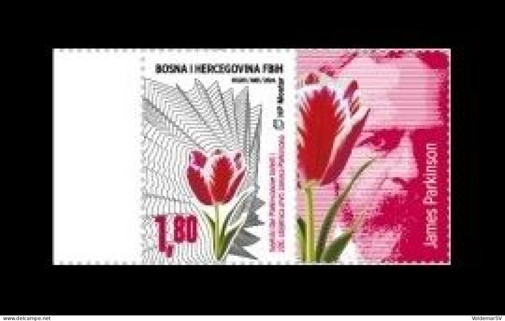 Bosnia And Herzegovina (Croatian) 2024 Mih. 653 Medicine. World Parkinson's Day. Flowers. Tulip (with Label) MNH ** - Bosnia And Herzegovina