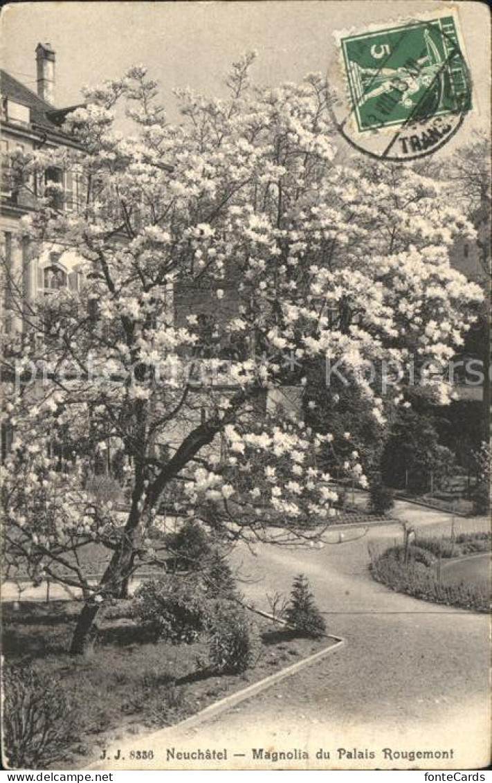 12013956 Neuchatel NE Magnolia Du Palais Rougemont Baumbluete Magnolienbaum Neuc - Altri & Non Classificati