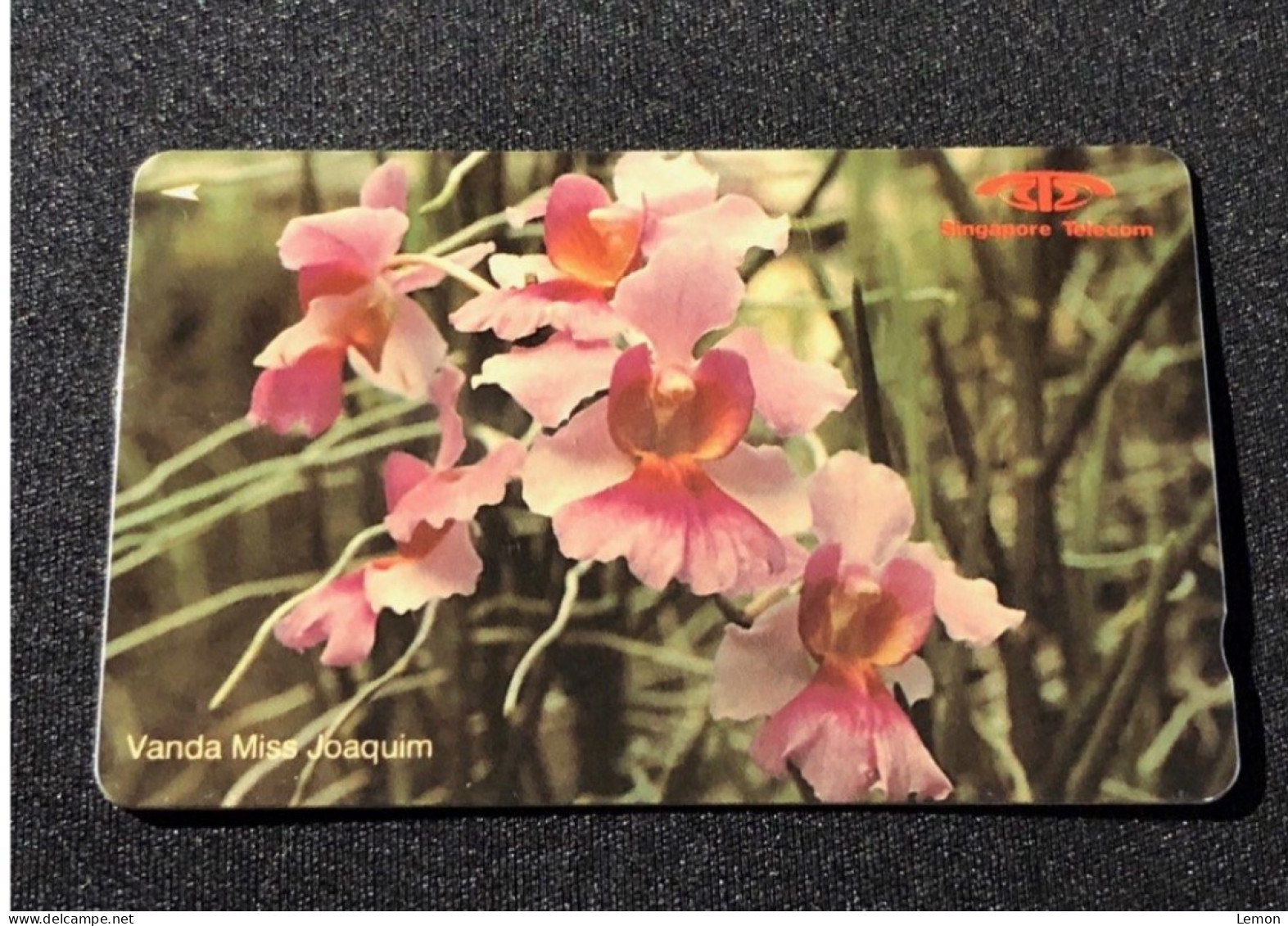 (No Control Number) Unused Singapore Telecom Singtel GPT Phonecard - Orchid, Set Of 1 Unused Card - Singapour