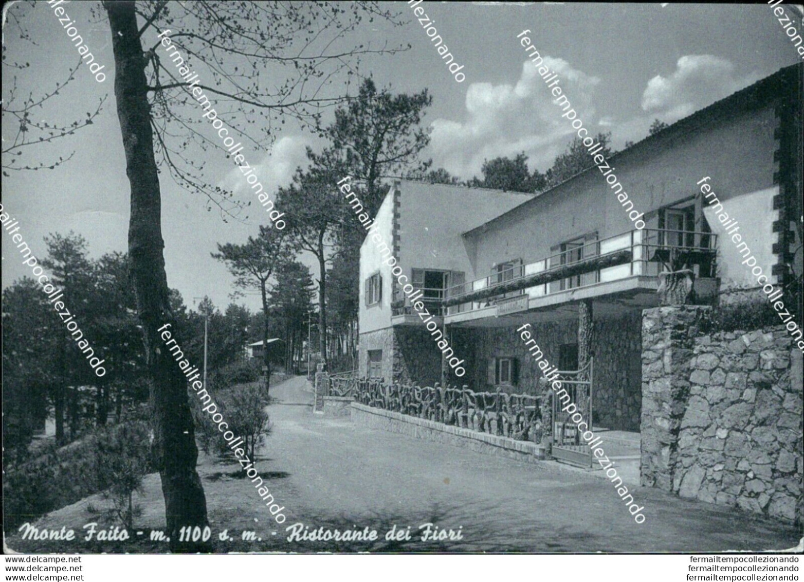 Bh583 Cartolina Monte Faito Ristorante Dei Fiori Provincia Di Napoli - Napoli (Napels)