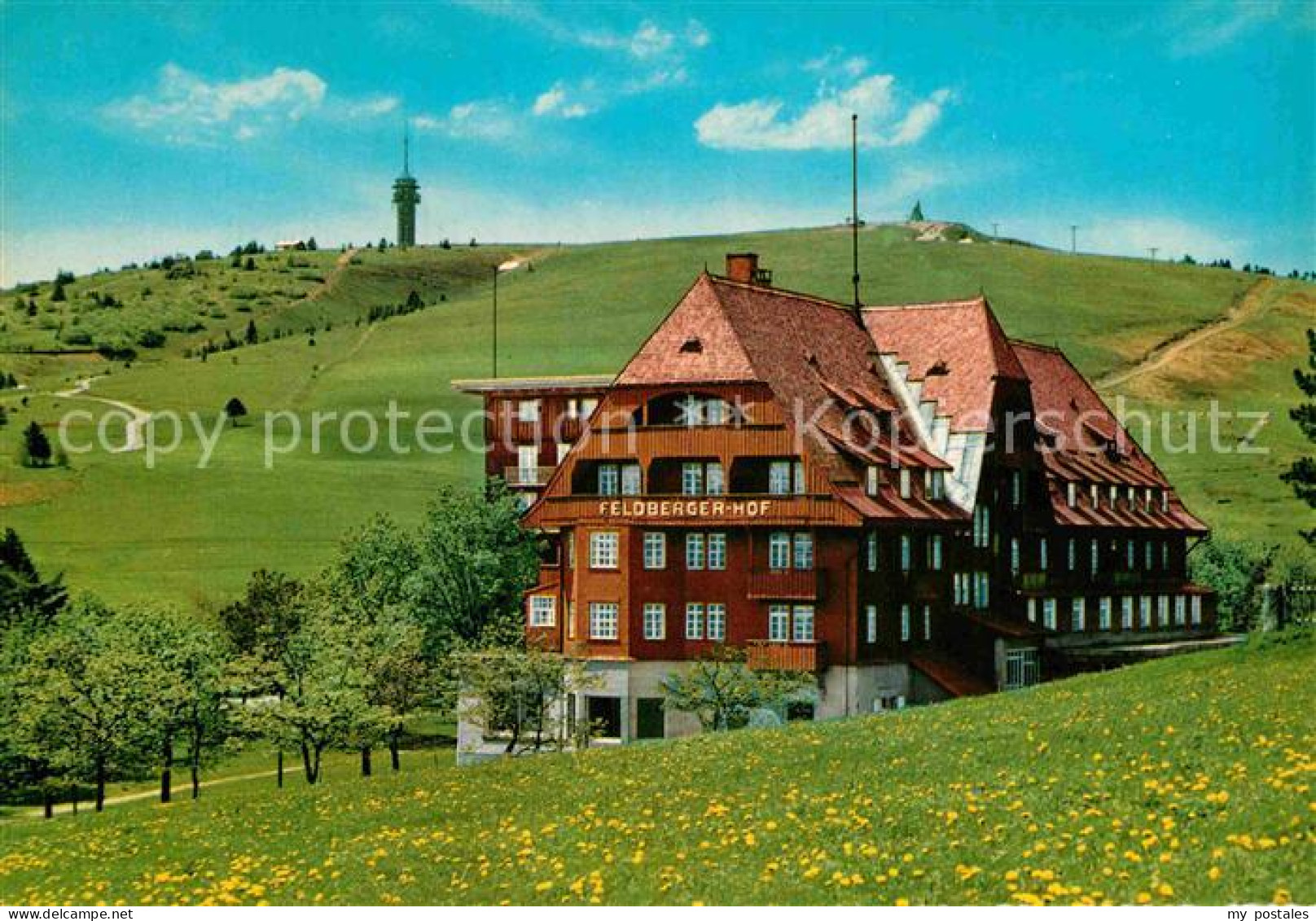 72904576 Feldberg Schwarzwald Berghotel Feldberger Hof Feldberg - Feldberg