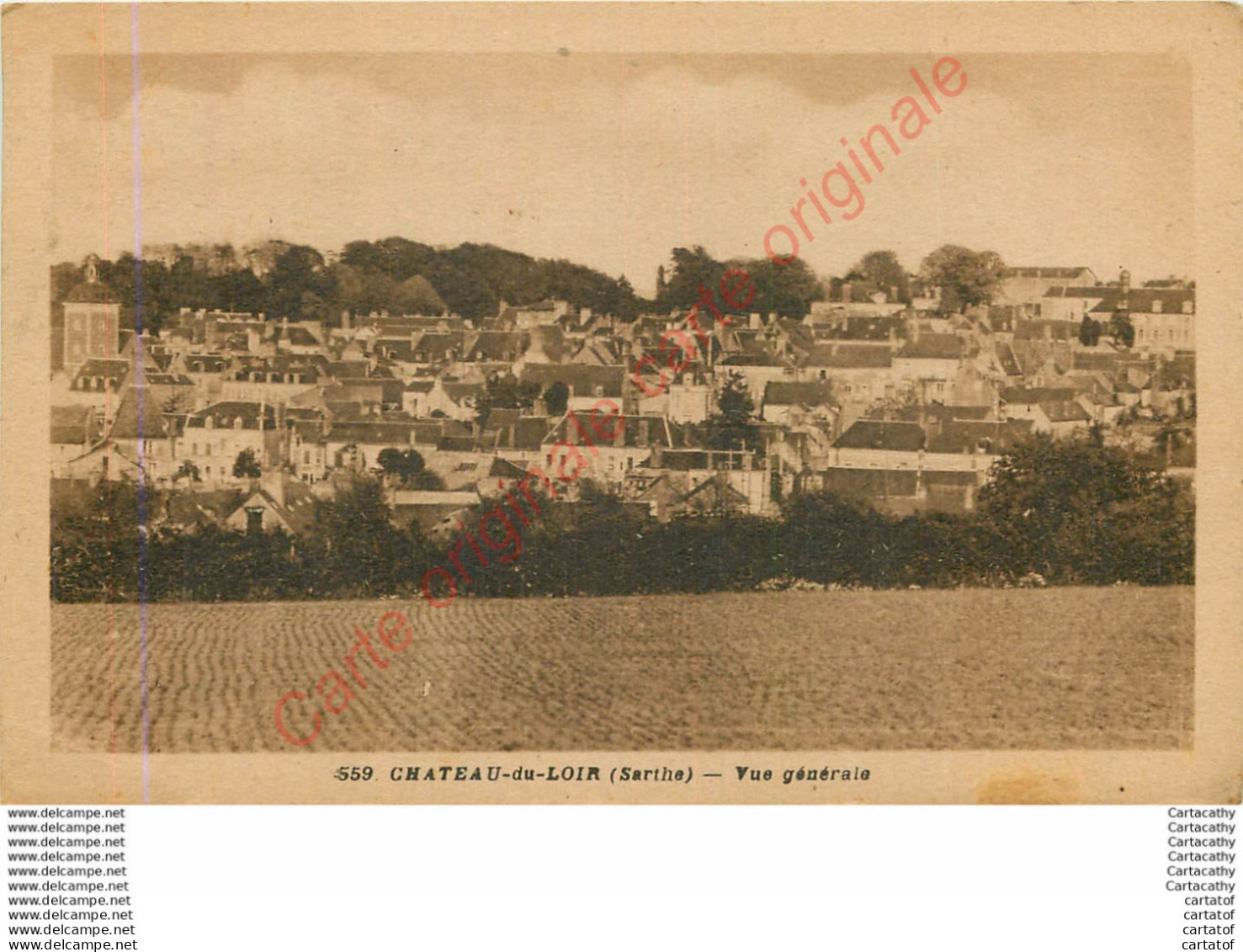 72.  CHATEAU DU LOIR . Vue Générale . - Chateau Du Loir