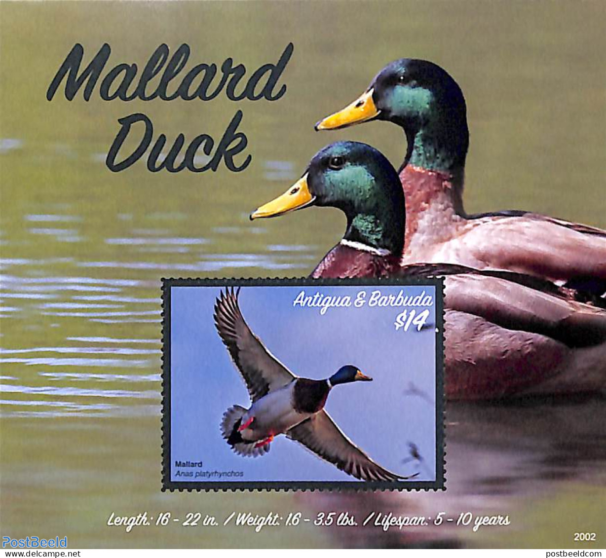 Antigua & Barbuda 2020 Mallard Duck S/s, Mint NH, Nature - Birds - Ducks - Antigua And Barbuda (1981-...)