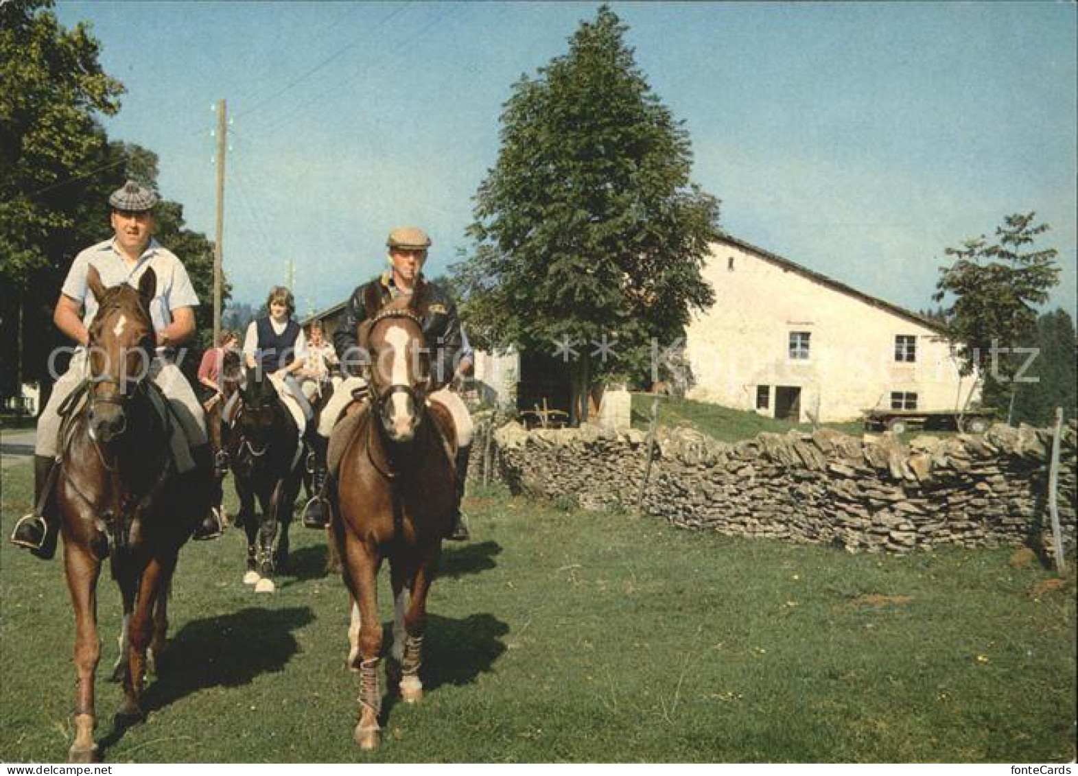 11881236 Franches Montagnes Pays Des Grands Espaces Cavaliers Aux Rouges Terres  - Sonstige & Ohne Zuordnung