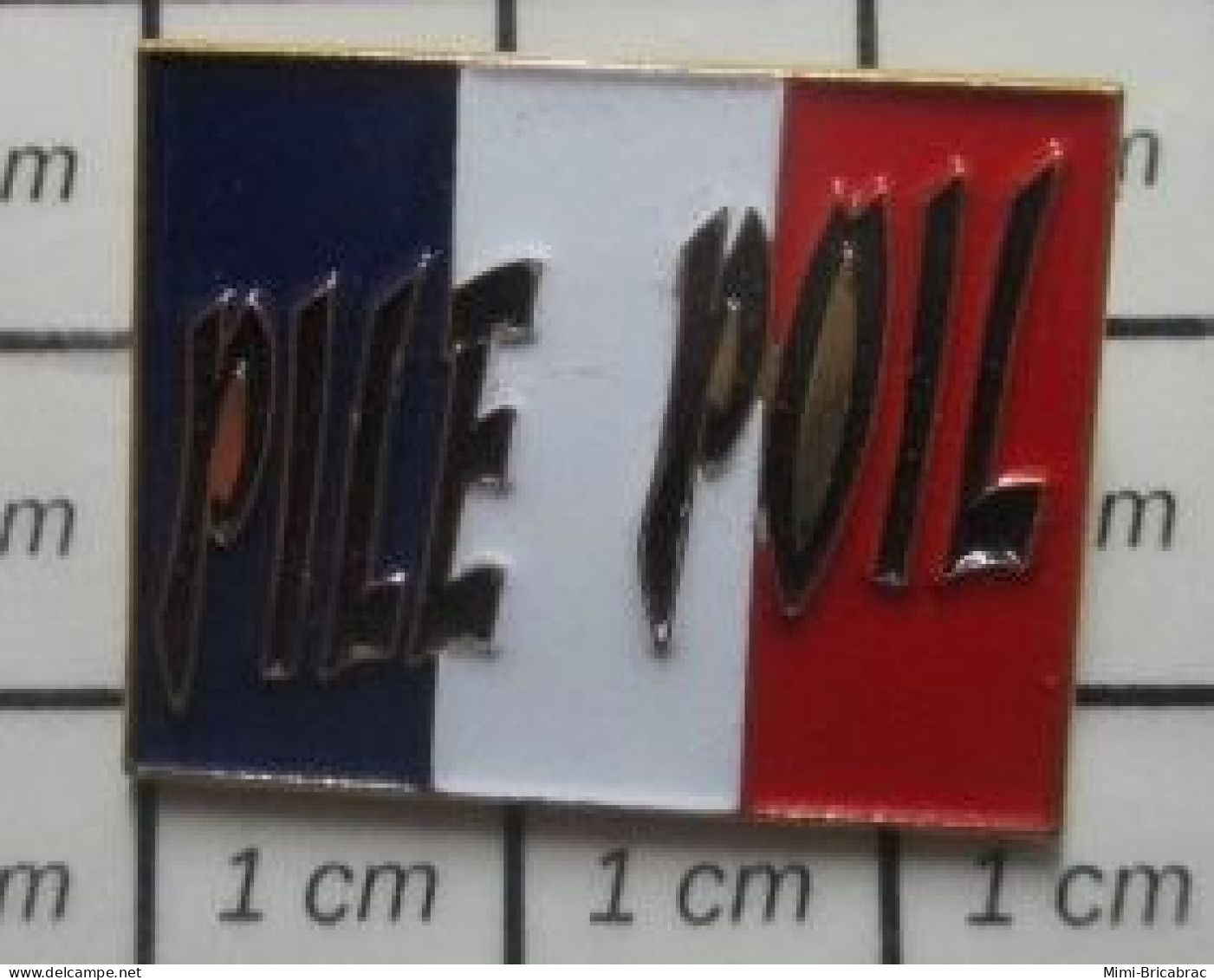 1818c Pin's Pins / Beau Et Rare / AUTRES / DRAPEAU FRANCAIS PILE POIL - Autres & Non Classés