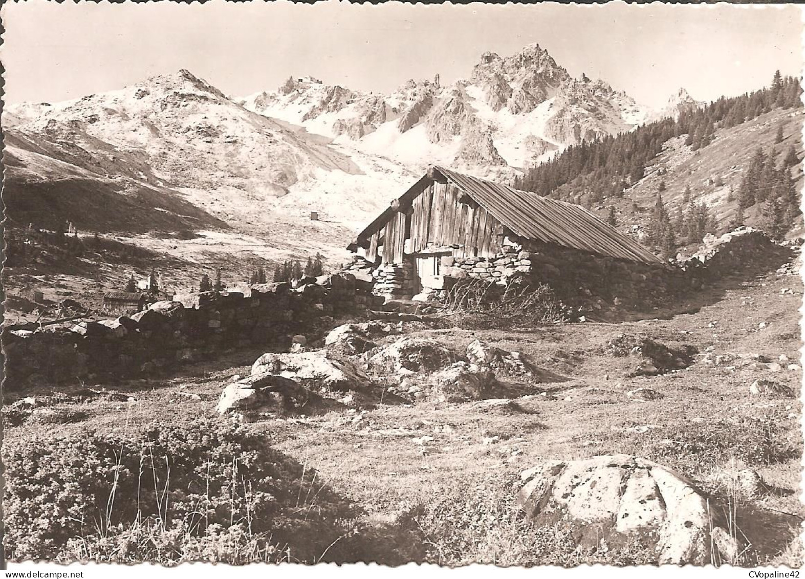 COURCHEVEL (73) Le Vallon Du Biollay , Au Fond La Dent De Burgin Et Le Téléphérique De La Saulire En 1954  CPSM GF - Courchevel