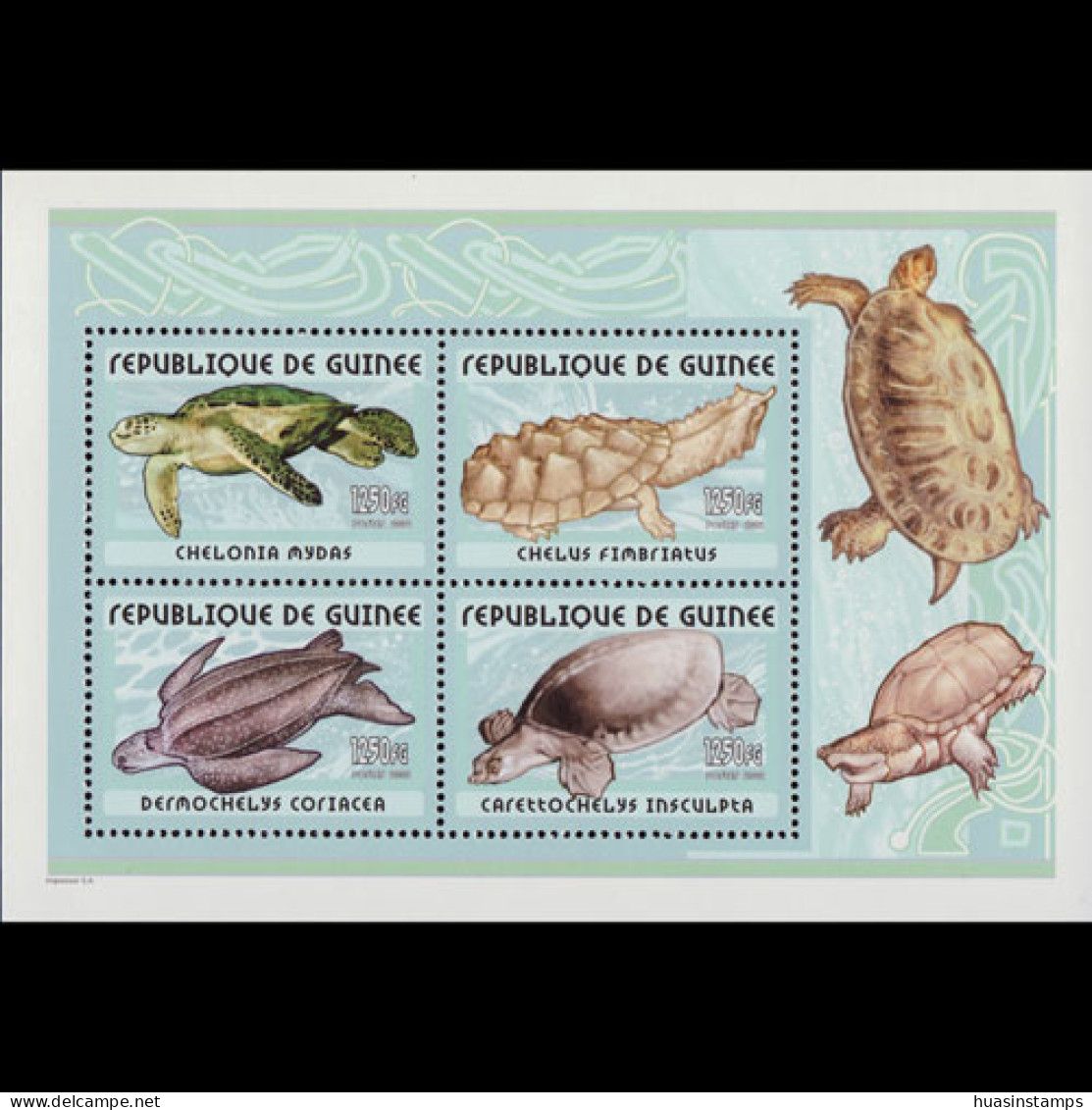 GUINEA 2002 - S/S Turtles MNH - Guinea (1958-...)