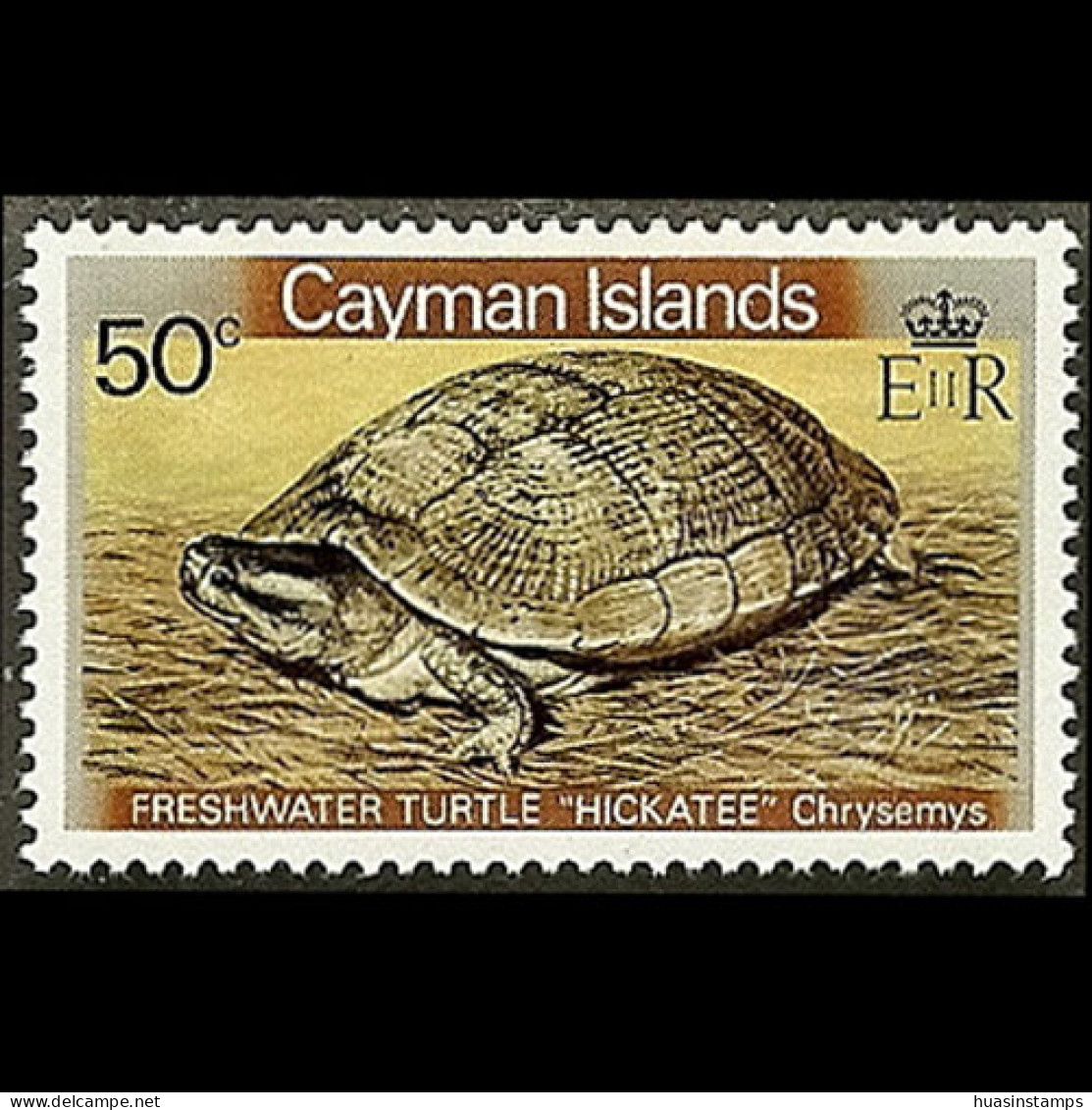 CAYMAN IS. 1981 - Scott# 470 Freshwater Turtle 50c MNH - Kaimaninseln