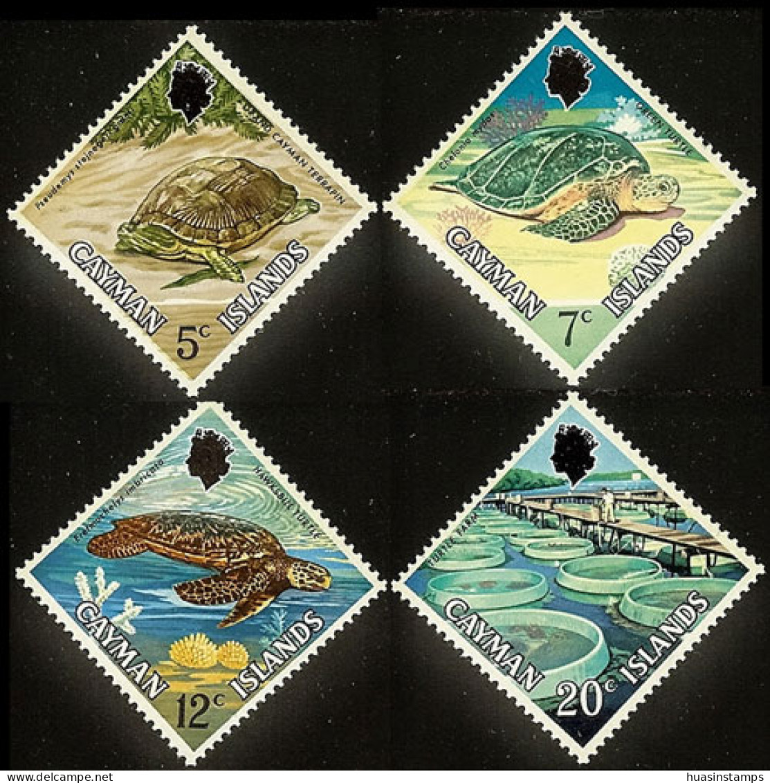 CAYMAN IS. 1971 - Scott# 283-6 Turtles Set Of 4 MNH - Cayman Islands