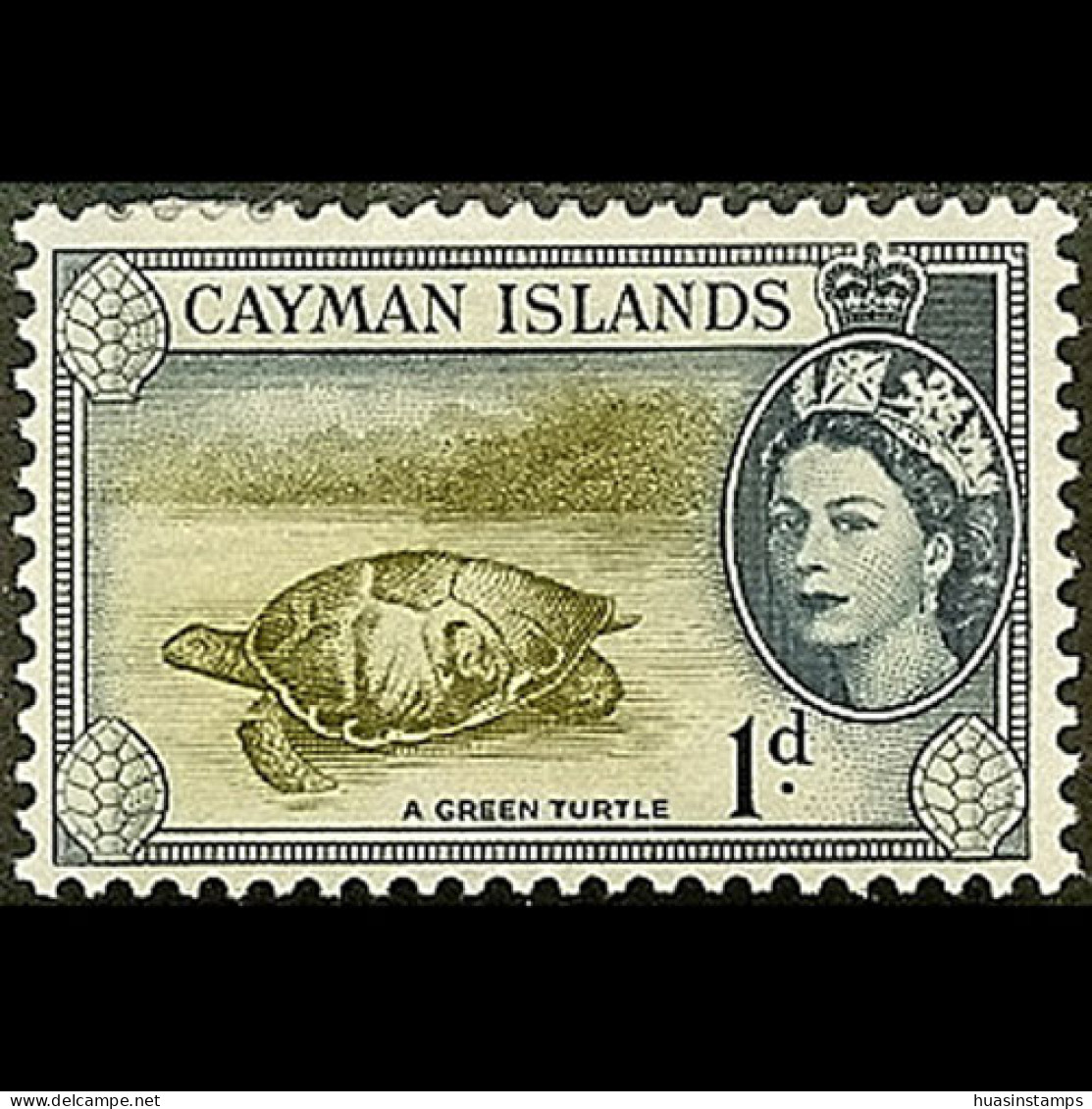CAYMAN IS. 1953 - Scott# 137 Green Turtle 1d MNH - Cayman Islands