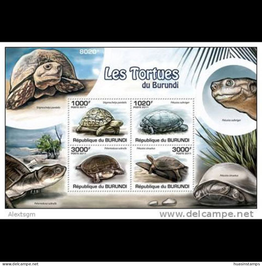 BURUNDI 2011 - Scott# 901 S/S Turtles MNH - Unused Stamps