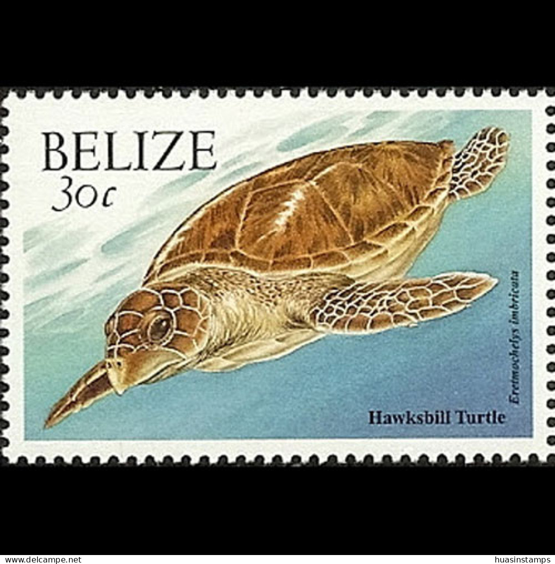 BELIZE 2000 - Scott# 1123 Hawksbill Turtle 30c MNH - Belize (1973-...)