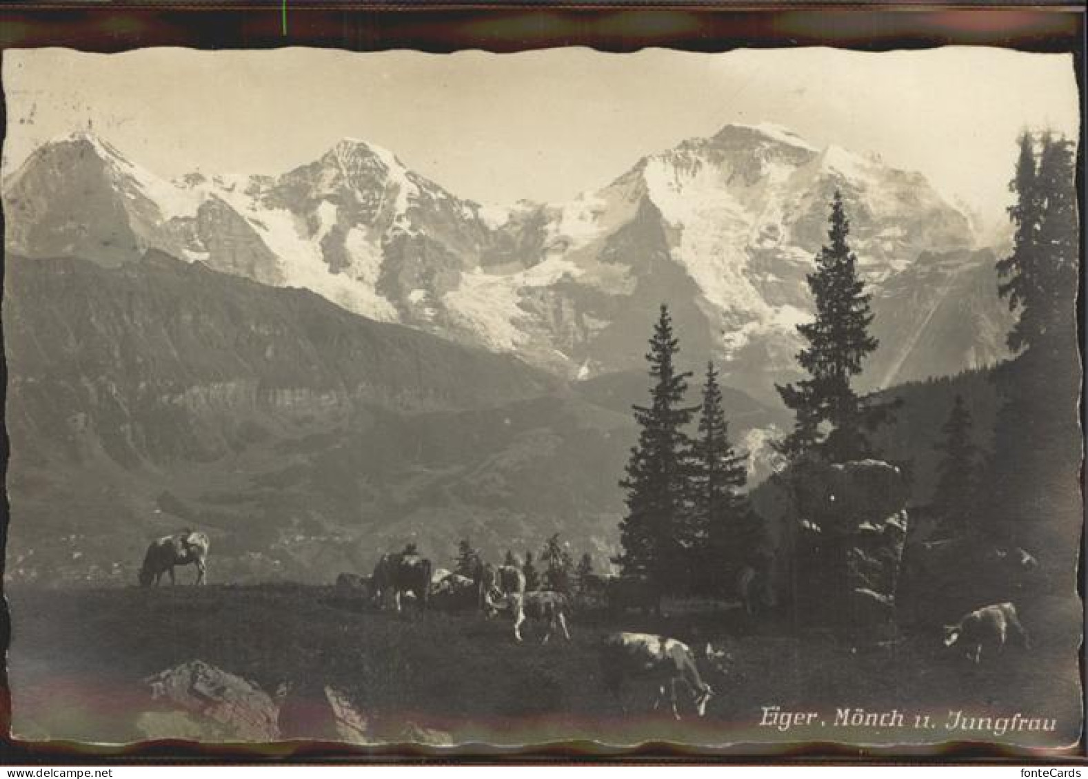 11308530 Isenfluh Eiger Moench Jungfrau Isenfluh - Autres & Non Classés