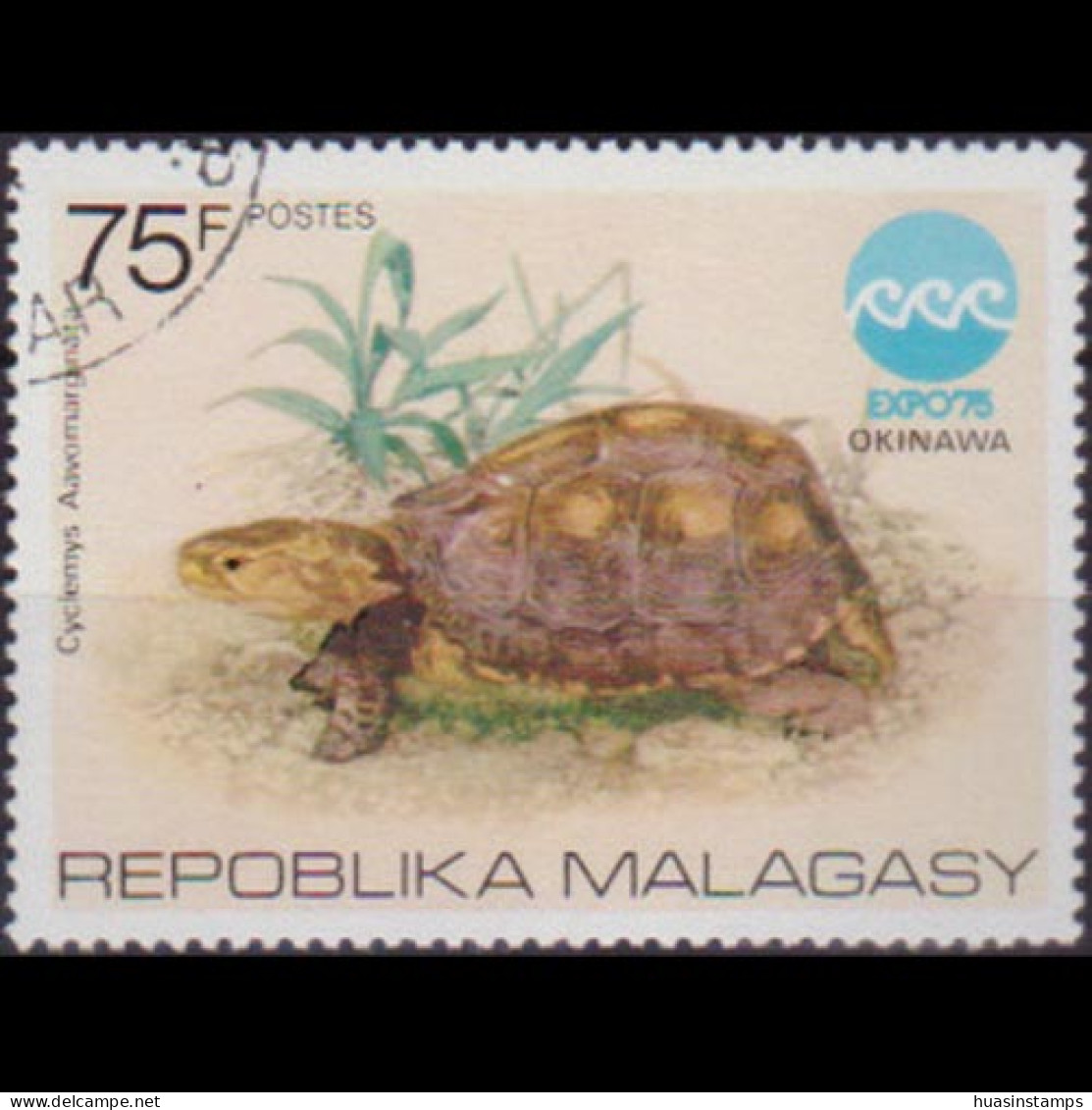 MALAGASY 1975 - Scott# 535 Box Tortoise 75c Used - Madagascar (1960-...)