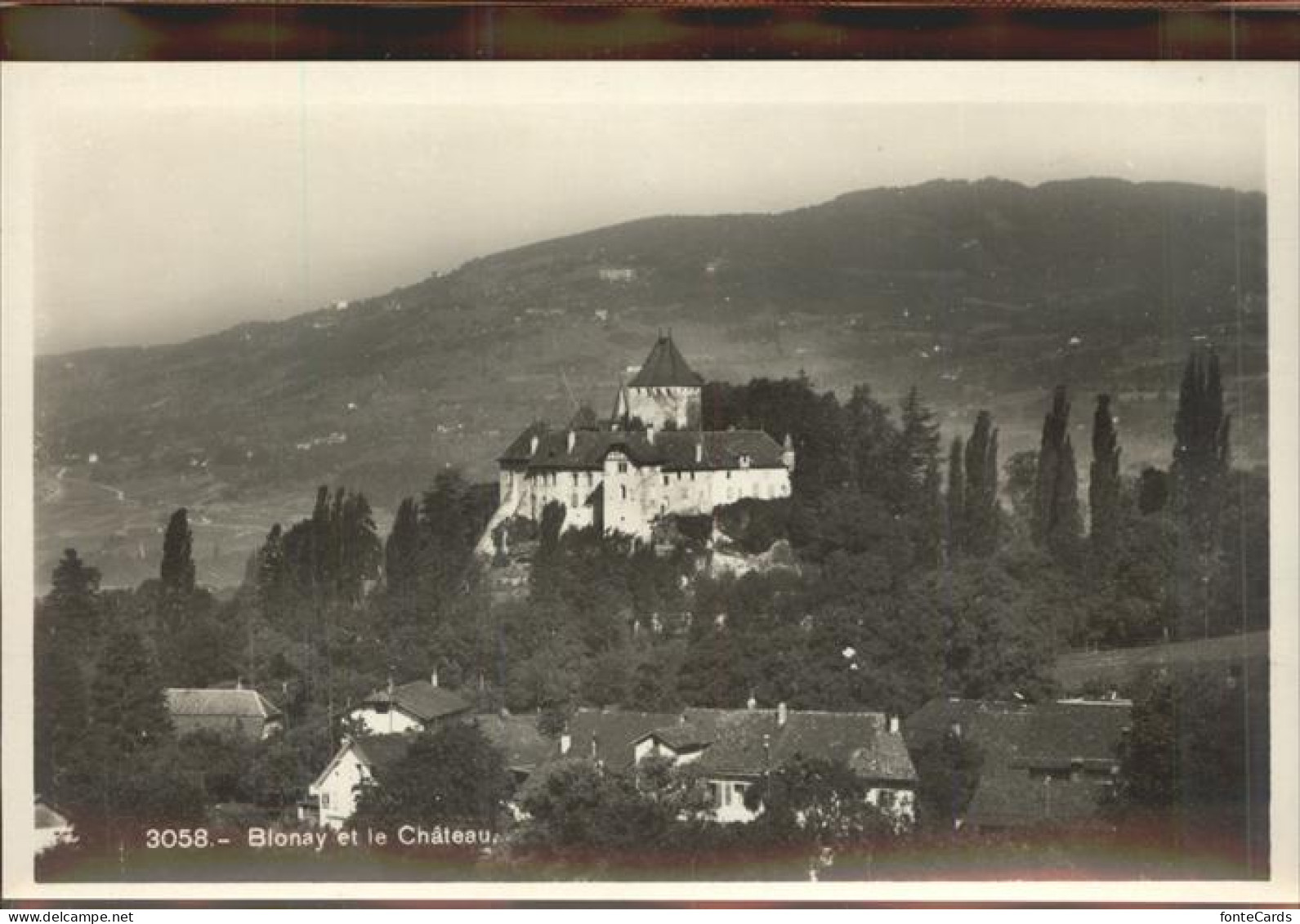 11306544 Blonay Chateau Blonay - Autres & Non Classés