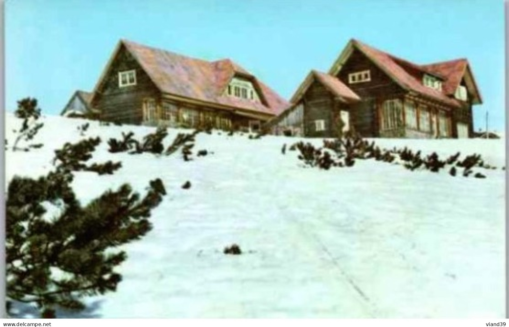 MONTAGNES. BUCEGI. -  Cabane. "Piatra Arsa " - Rumänien