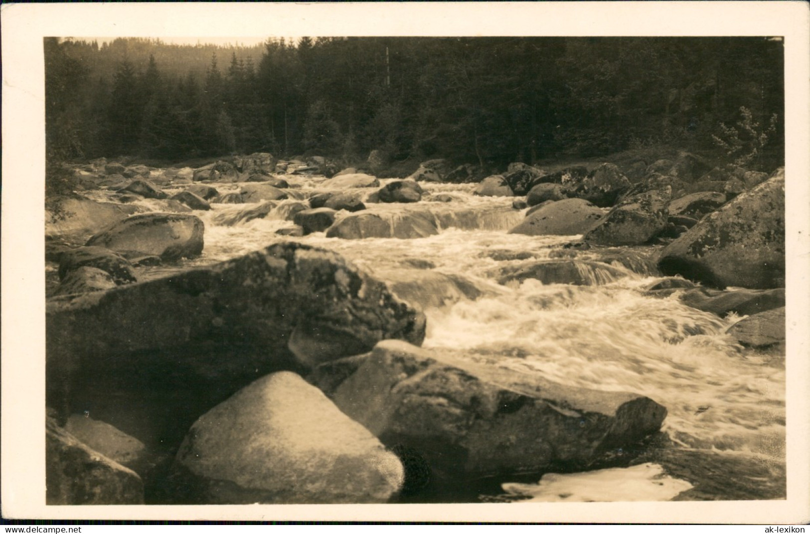 Postcard Rehberg Srní Na Sumava Z Klostermannovy Cesty. Na Výdře. 1952 - Tchéquie