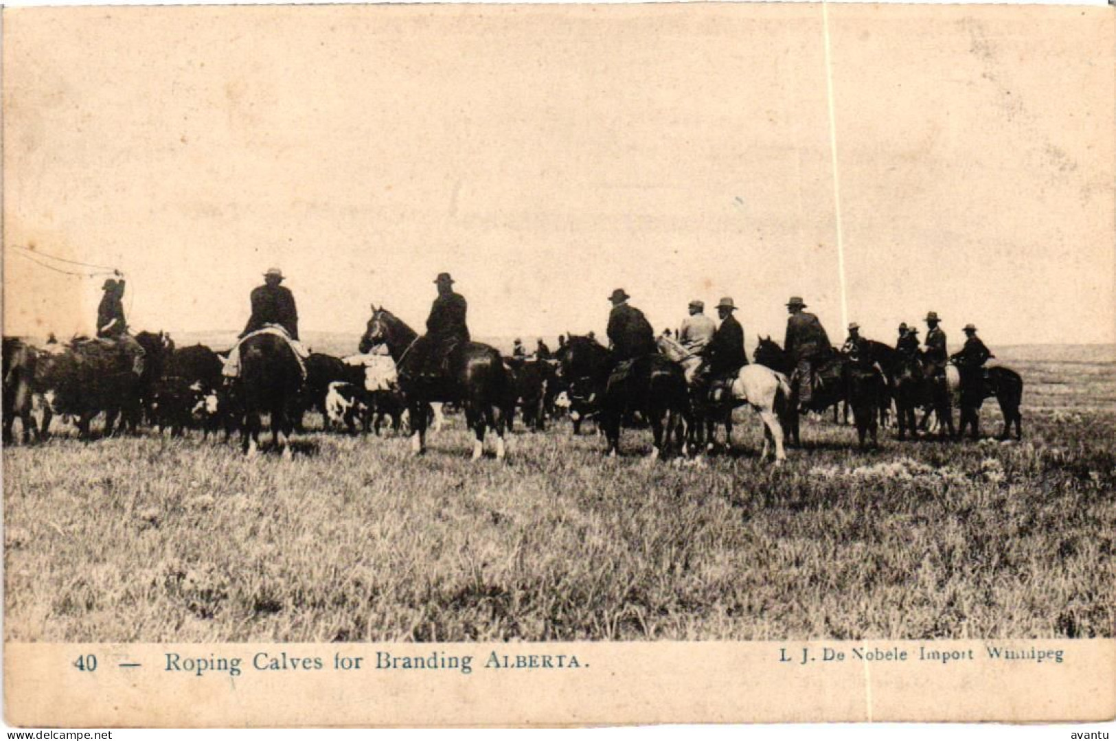 CANADA / WINNIPEG / ROPING CLAVES - Winnipeg