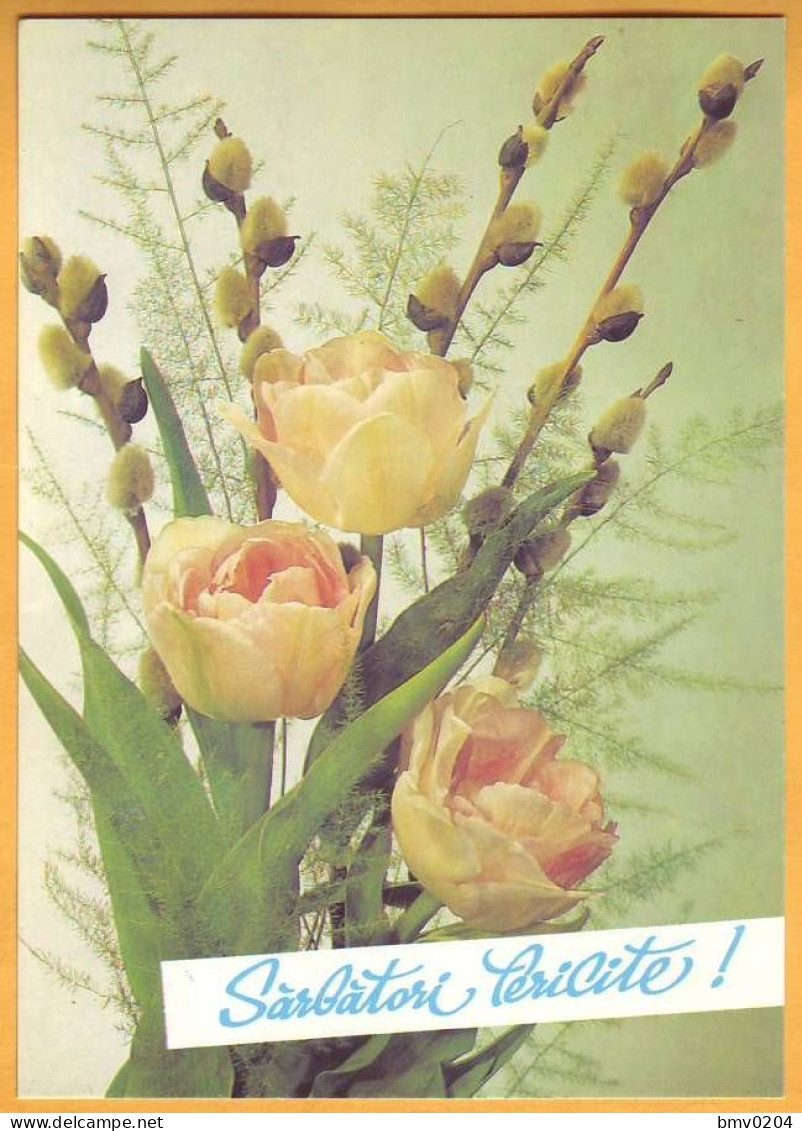 2016  Moldova Moldavie Moldau. Christian Holidays. Palm Sunday. FDC Postcard - Christianisme