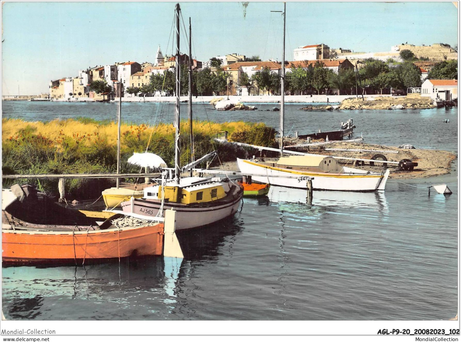 AGLP9-0669-20 - LA CORSE - ILE DE BEAUTE - SAINT-FLORENT - Calvi