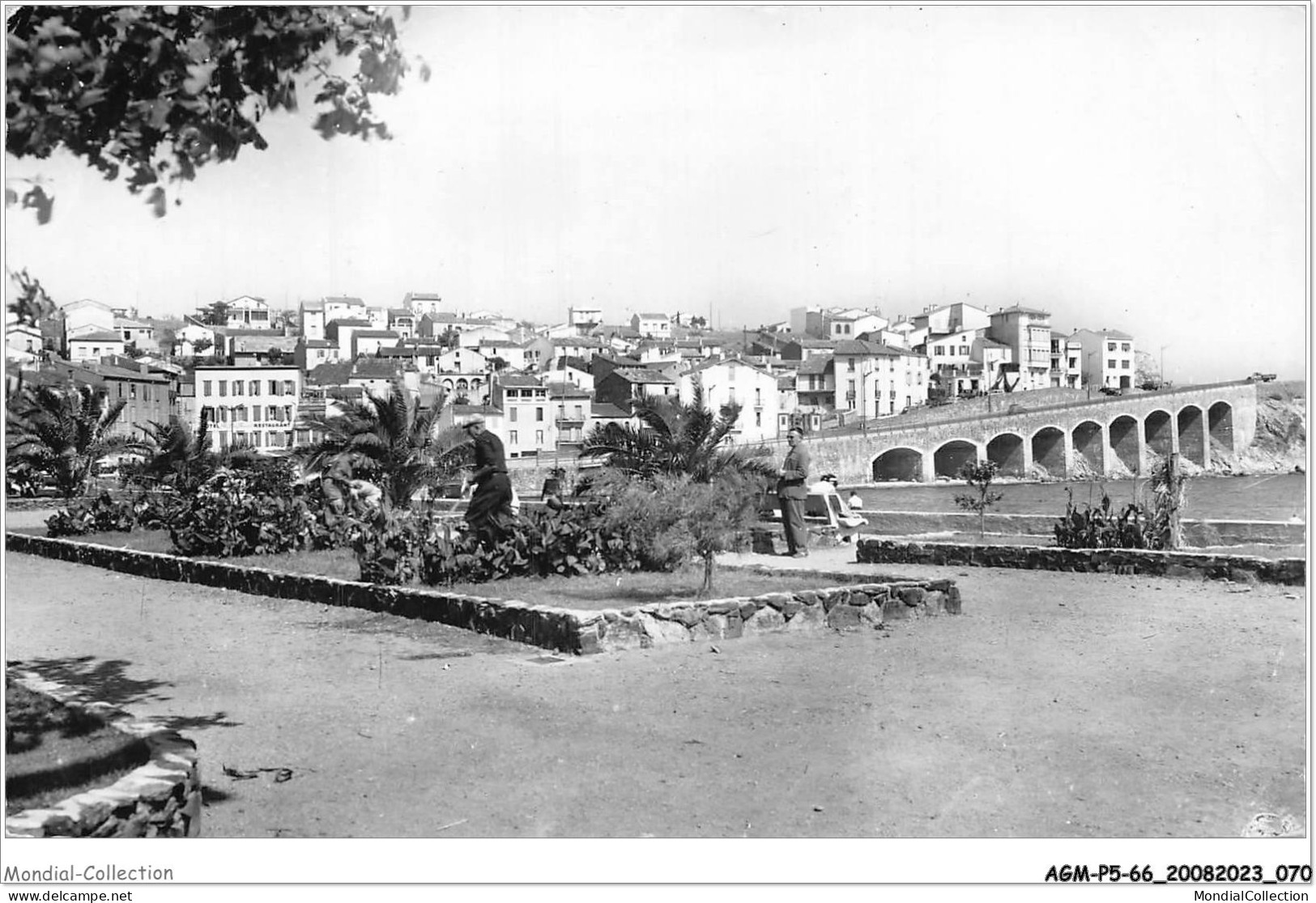 AGMP5-0388-66 - BANYULS-SUR-MER - Le Cap D'osne Et La Nouvelle Route  - Banyuls Sur Mer